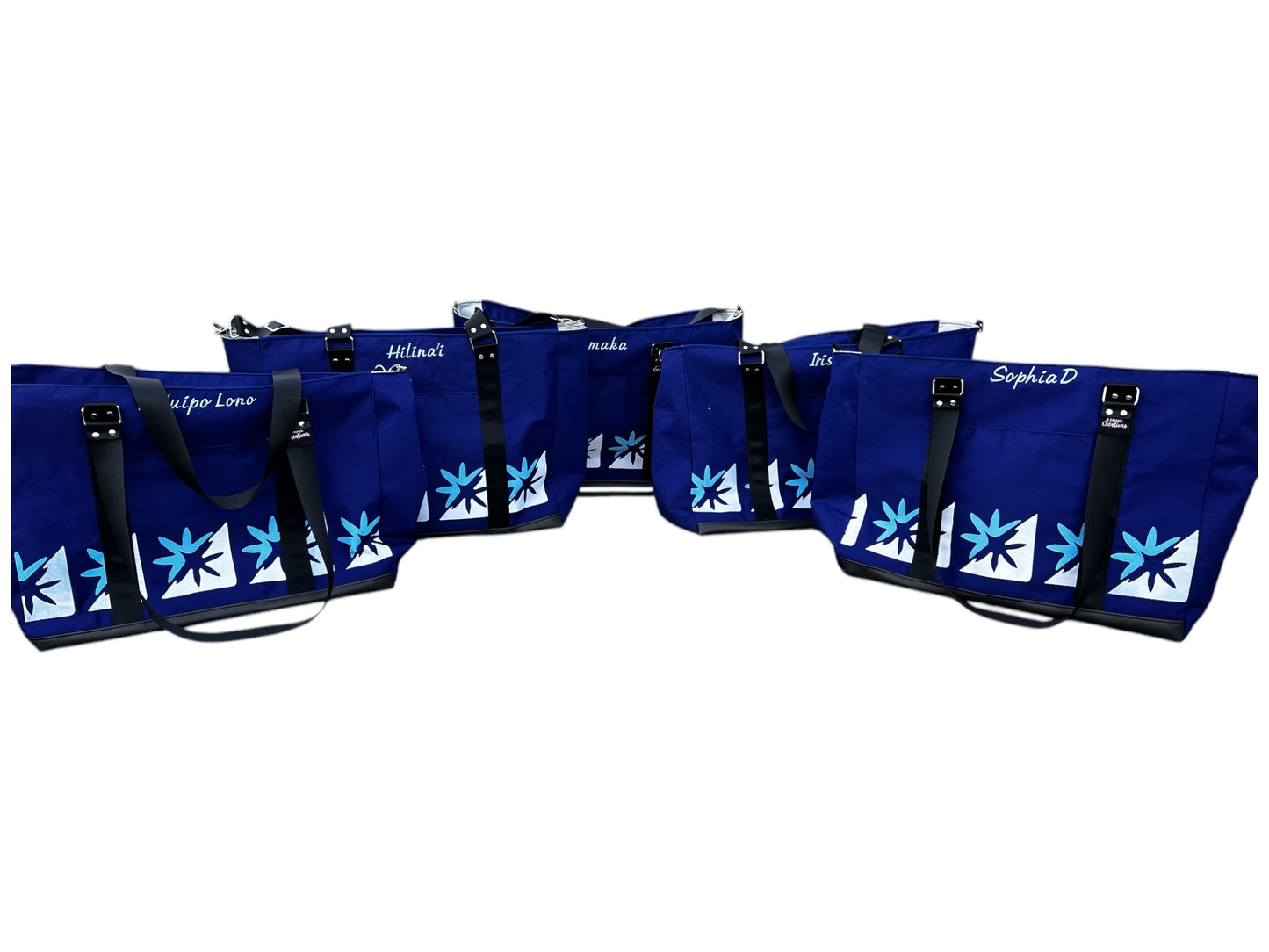 Hula Implement Bag