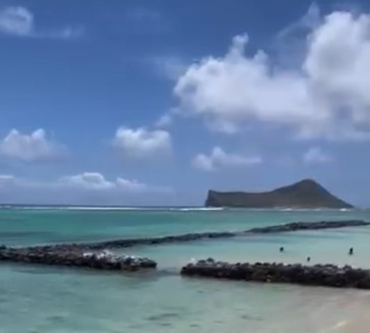 New Dancer Registration (Oahu).         REMINDER:    HULA IS A COMMITMENT LIKE ANY OTHER ACTIVITY.  PLEASE BE SURE THIS IS WHAT YOU WANT TO DO.  ONCE YOU REGISTER THERE IS NO REFUND, SHOULD YOU CHANGE YOUR MIND, AFTER YOU MAKE PAYMENT.