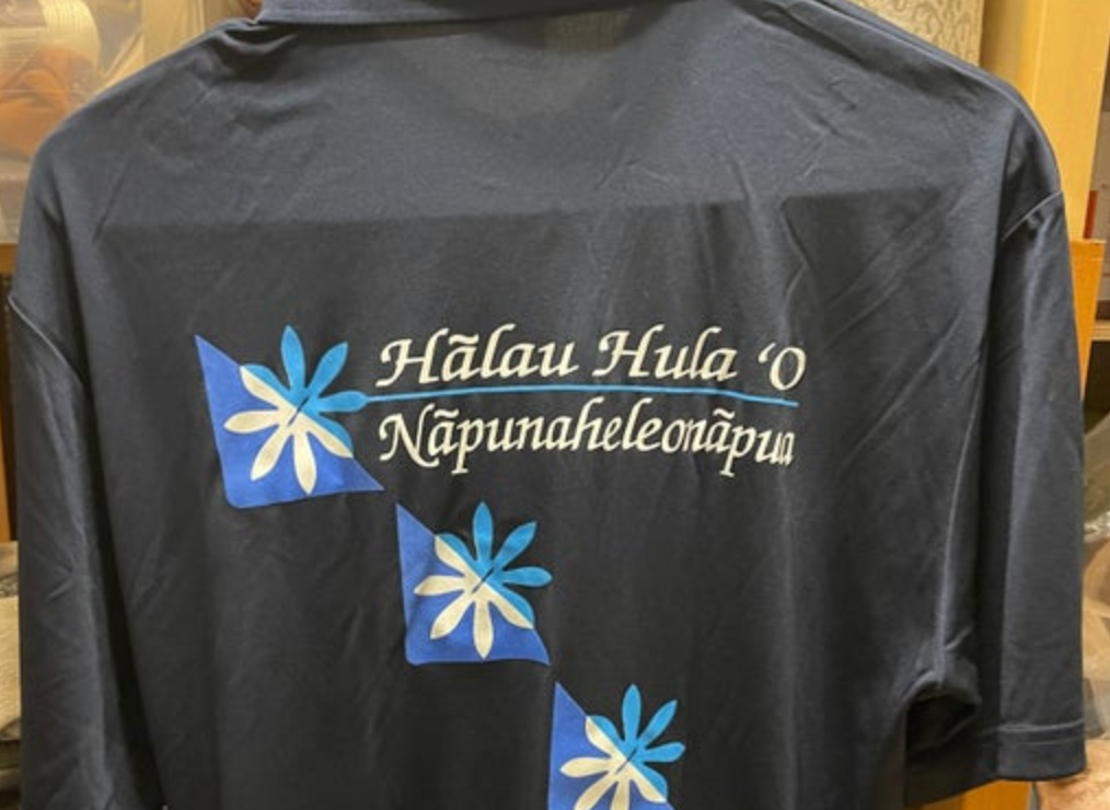 Polo Shirts - Blue (Cotton)